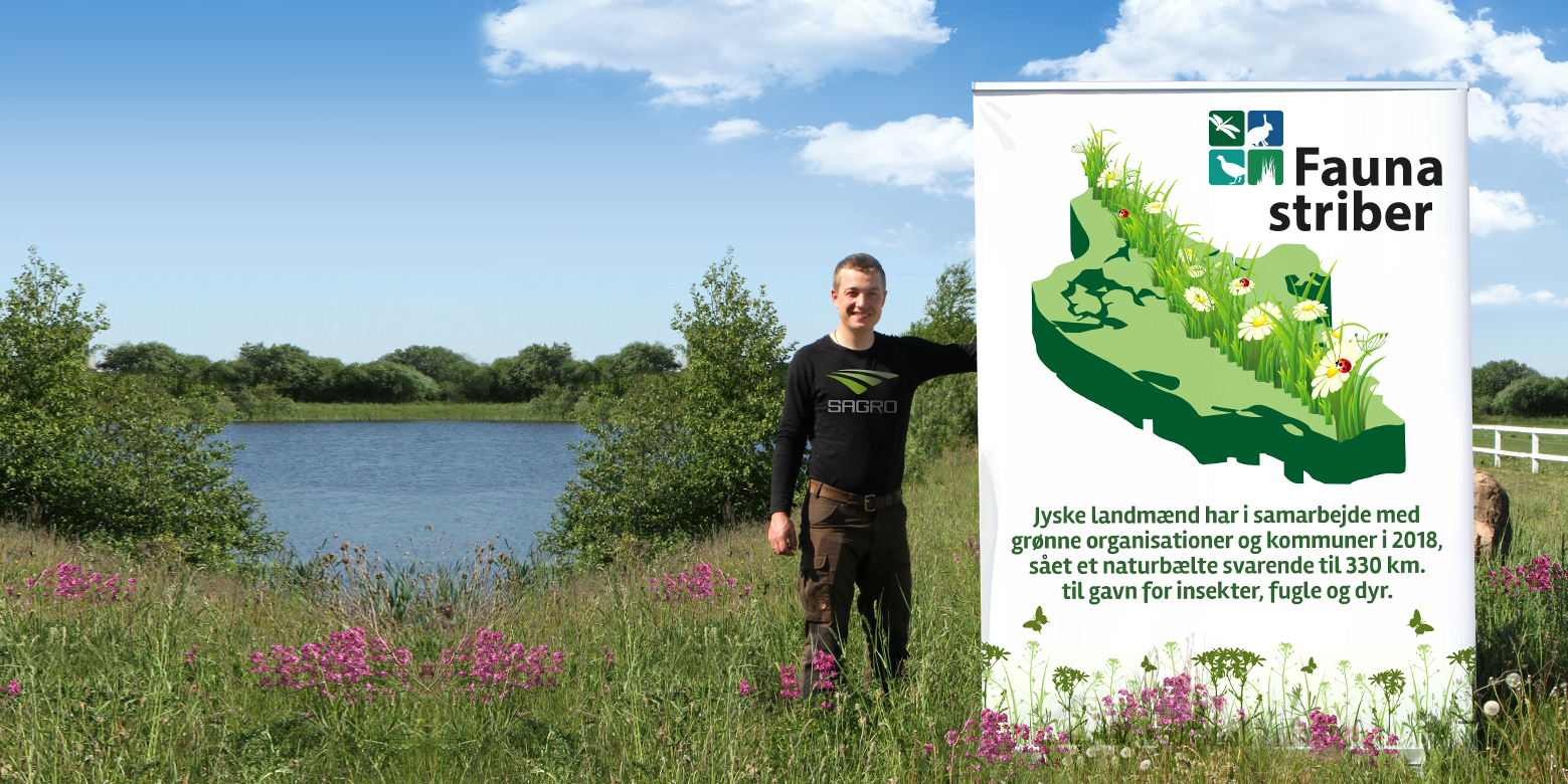 Faunastriber har i samarbejde med de grønne organisationer skabt et grønt bælte fra grænsen til Skagen