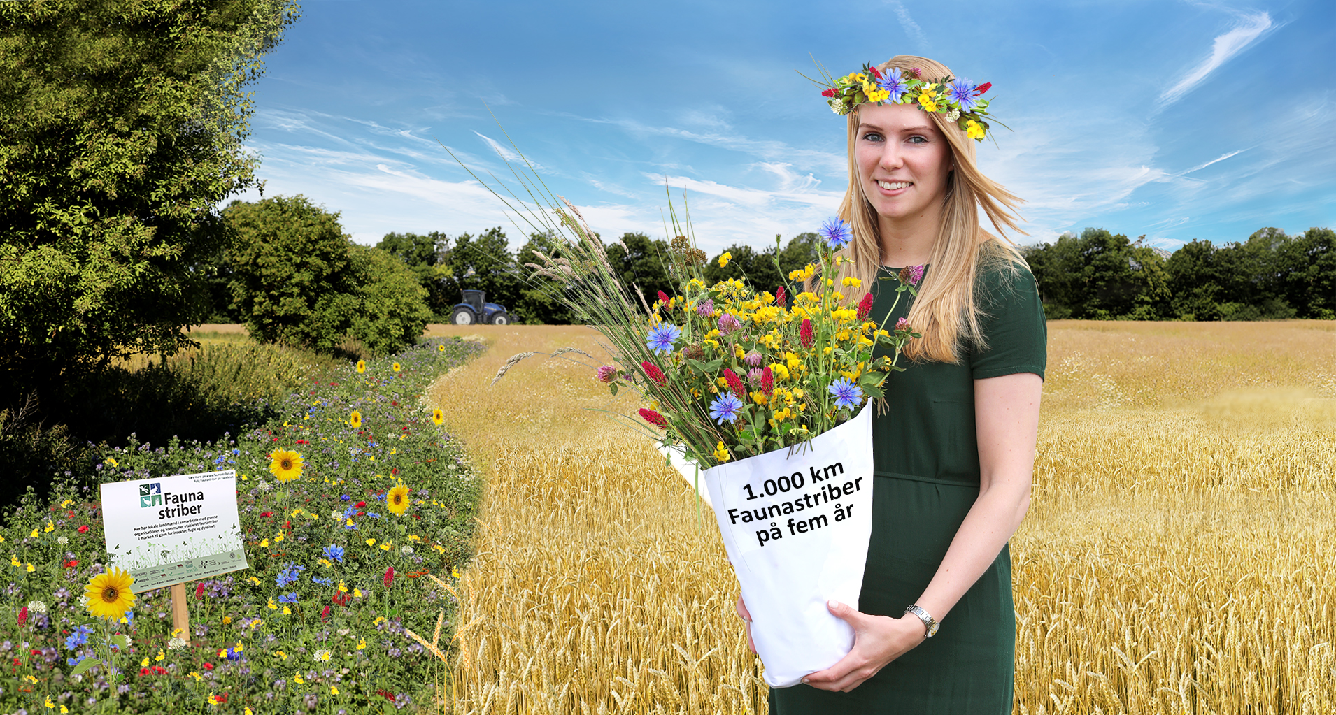 1.000 km Faunastriber på fem år